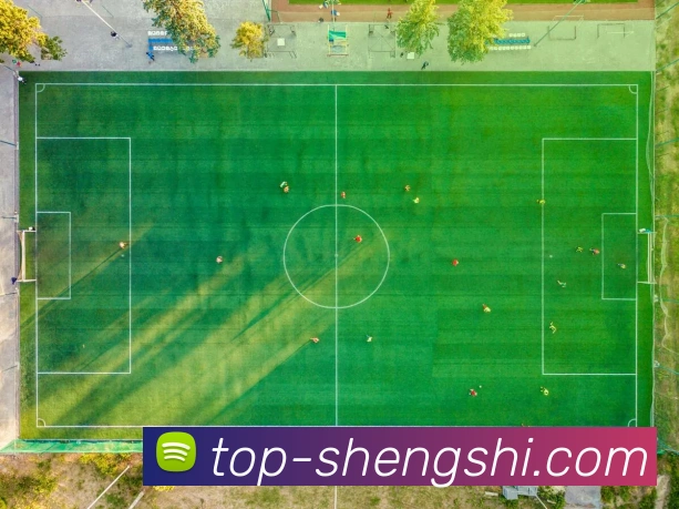 盛世娱乐APP 封面图